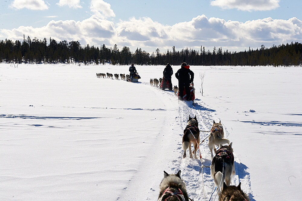 ... Abenteuertour oberhalb des Polarkreises